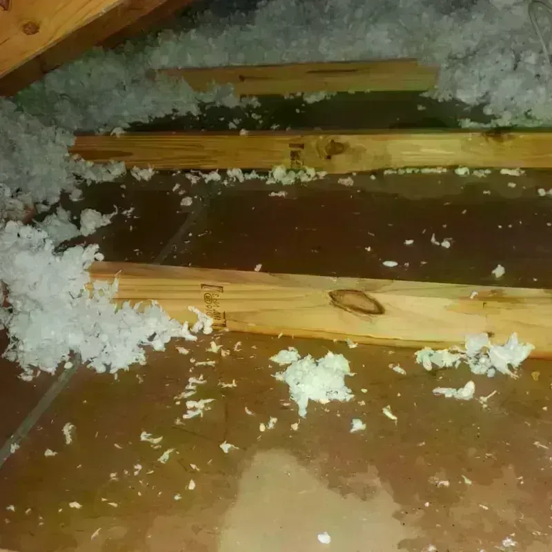 Attic Water Damage in Gainesville, VA